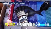 [#도시어부5] 첫 해외 출조 대마도! 긴꼬리벵에돔 천국의 기운이 느껴진다..