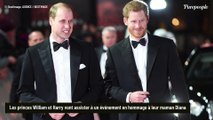 Harry et William réunis pour un hommage à leur mère Diana, retrouvailles rares mais très loin de celles que l'on imagine...