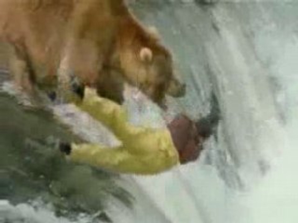 Extrem Fishing