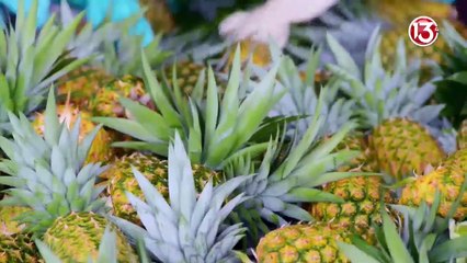 Trece Noticias 13 marzo 2024 |  Edición matutina