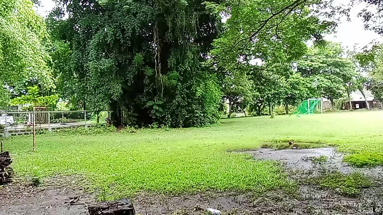 nature