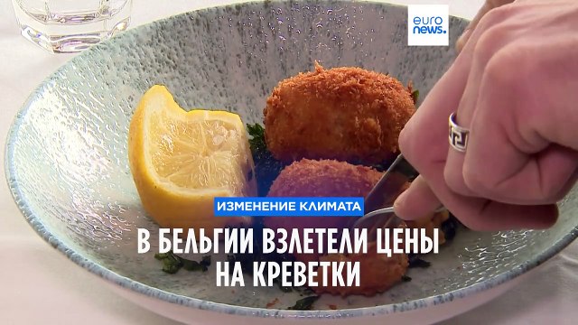 Изменение климата: в Бельгии взлетели цены на креветки