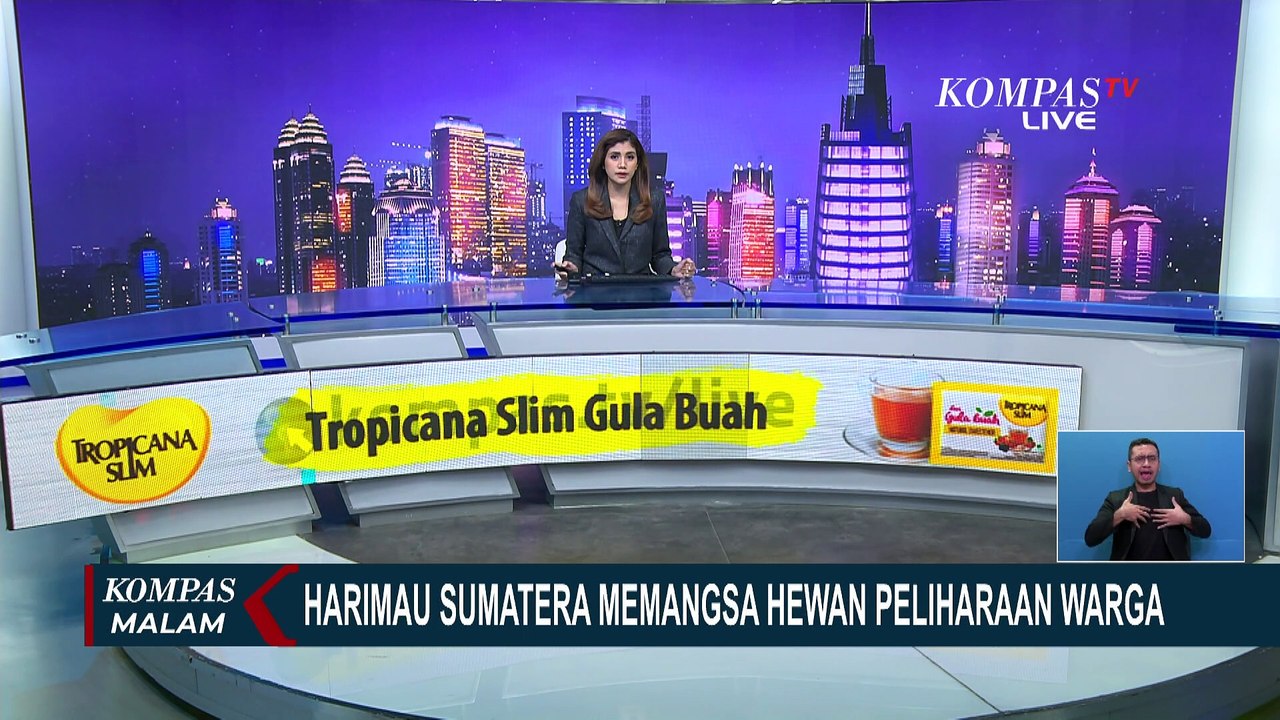 CCTV Rekam 2 Harimau Sumatera Mangsa Hewan Peliharaan Warga