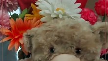 BonBon's House of Cutesies
