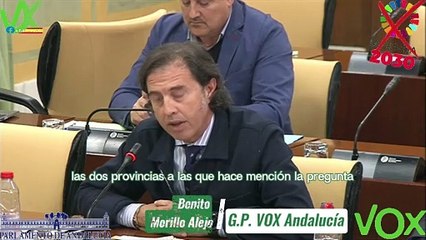 Benito Morillo Alejo interviene en Comisión sobre situación en Cádiz y Jaén.