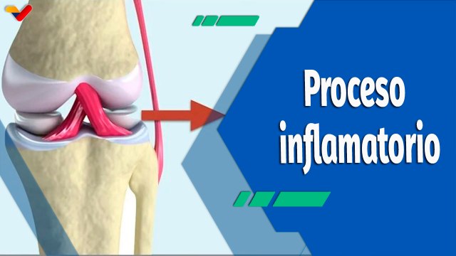 Actitud Saludable | Causas principales de lesiones del menisco