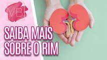 Confira como prevenir DOENÇAS RENAIS - Você Bonita (14/03/2024)