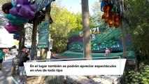 Compañeros de Viajes: Busch Gardens en Tampa Bay