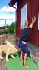 Fun Couple Workout with Our Adorable Goldendoodles 🐶