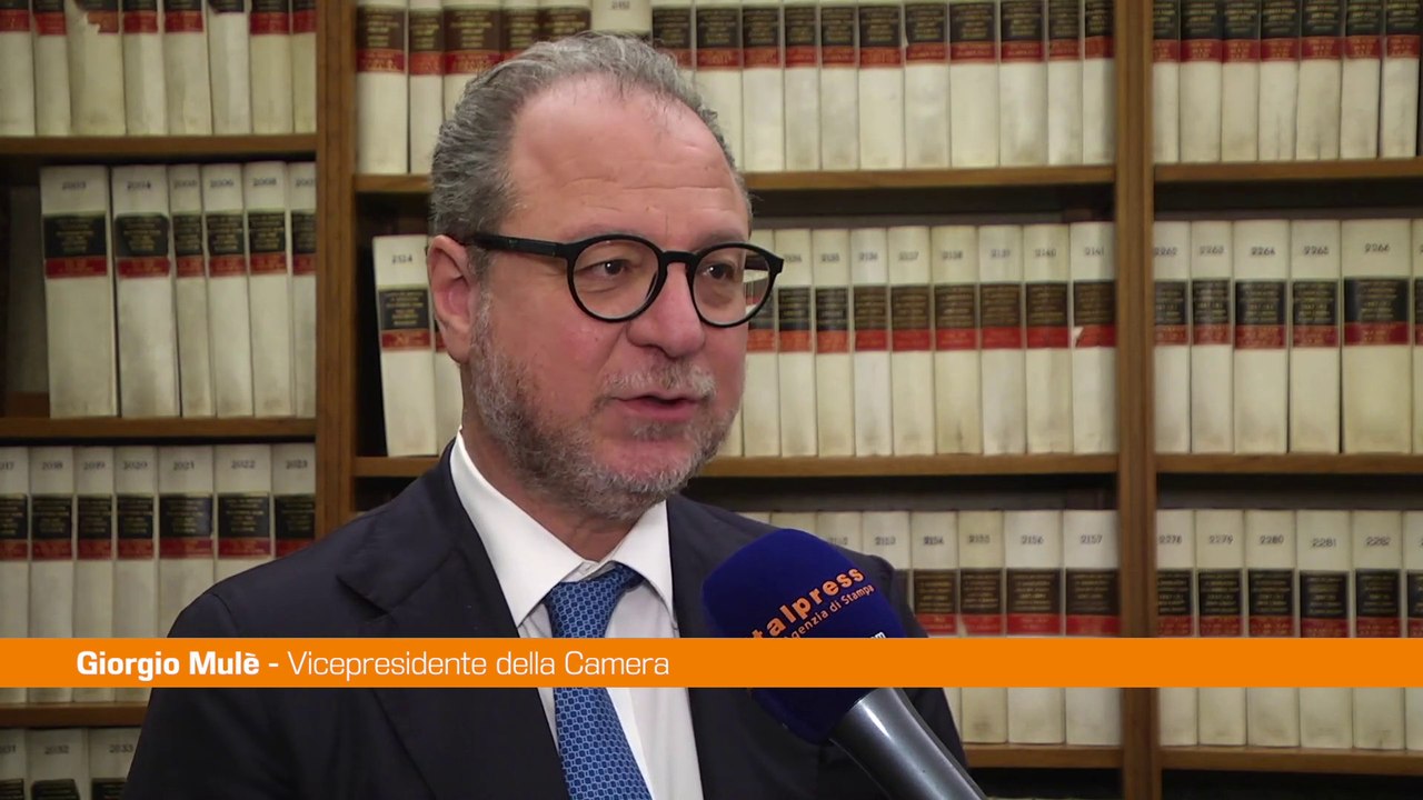 Giornata Mondiale del Rene, Mulè "Presentata pdl per screening adulti"