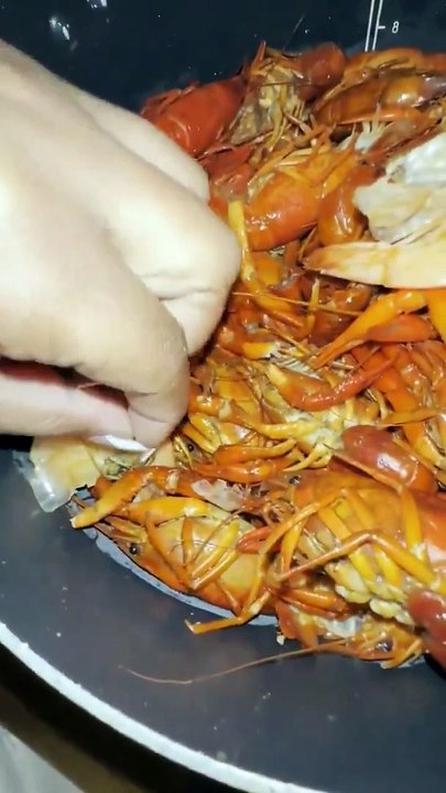 Family finds spiders in their seafood boil at a restaurant