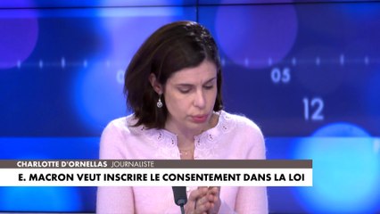 Charlotte d'Ornellas : «La mesure n'aiderait pas à lutter contre le viol puisqu'elle interviendrait après»