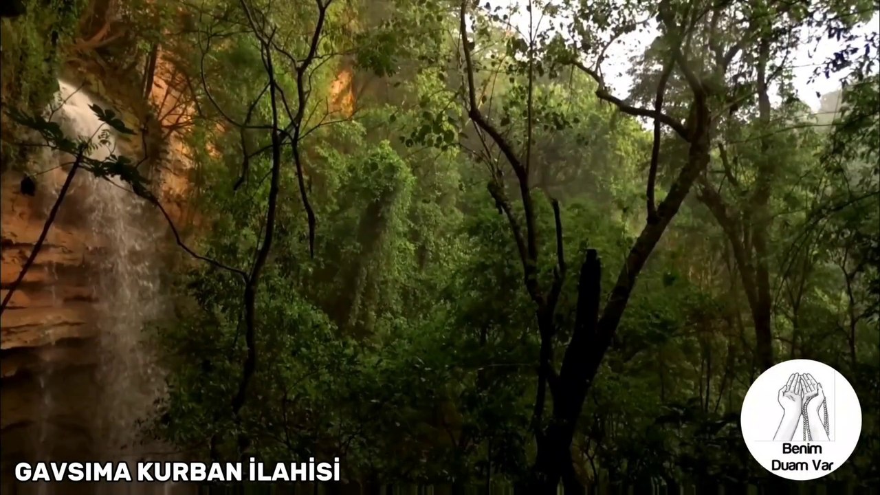 GAVS'a Adanmış Yürekten Bir İlahi Dinlemek İster Misiniz?