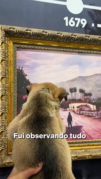 Prefeitura de Florianópolis adota um mascote e nome é divulgado