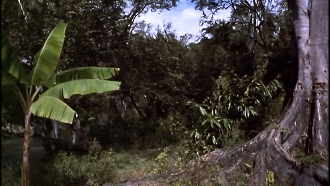 Tarzan und die verschollene Safari - Ganzer Film - 1957