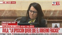 DNU: sigue el debate en el Senado