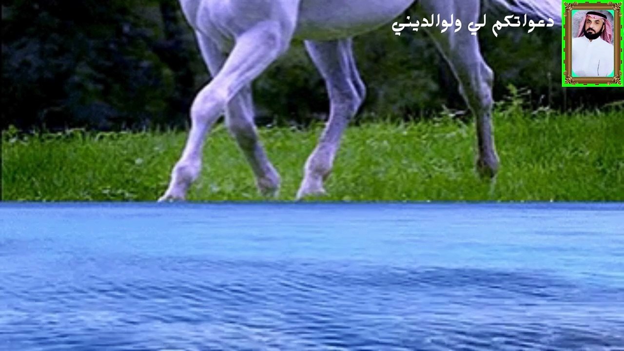 قران اجمل صوت قران حزين في العالم