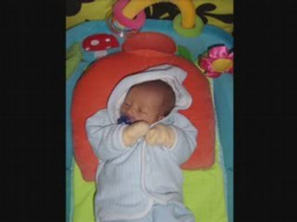 Petit gitan