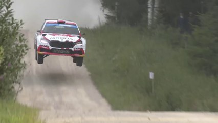 WRC Rally Estonia 2023 #rally