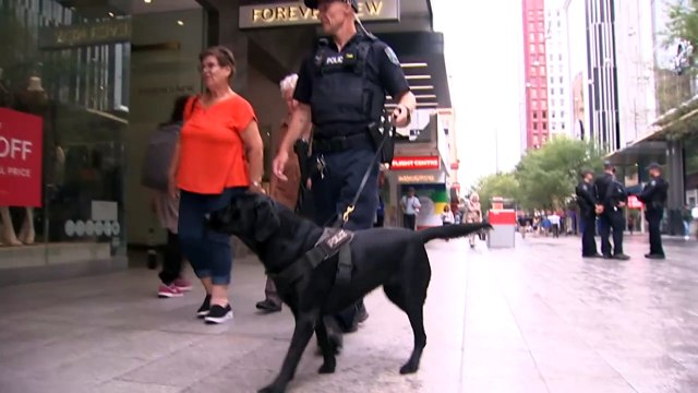 SA Police will increase Rundle Mall presence after spate of violent incidents