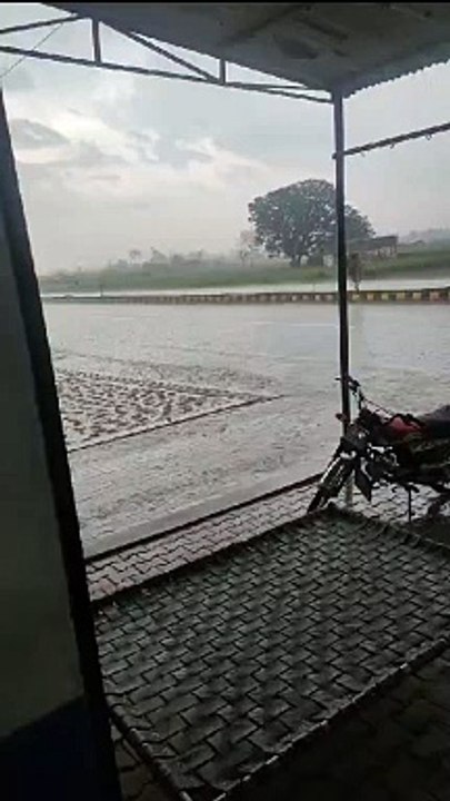 VID-20240302-WA0006