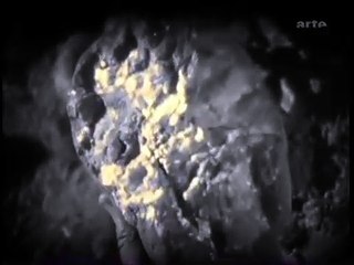 Les Rapaces Bande-annonce (EN)