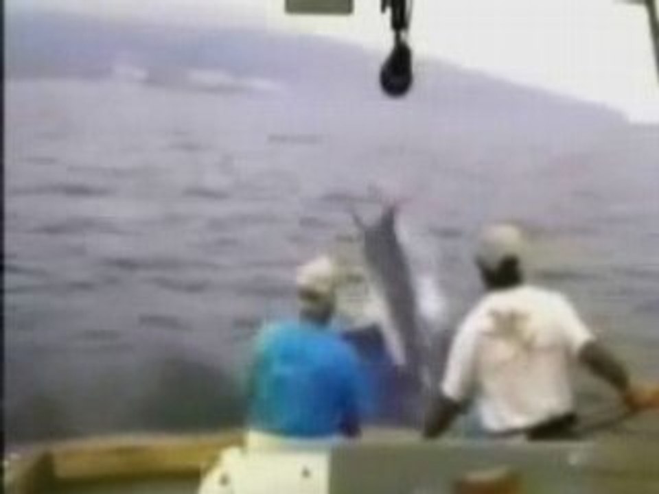 LE POISSON PECHEUR