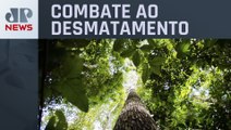 STF decide que governo federal deve garantir proteção da Amazônia