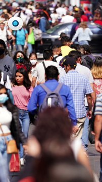 ¿Pueden detenerte por llevar mucho dinero en efectivo? I Reporte Indigo