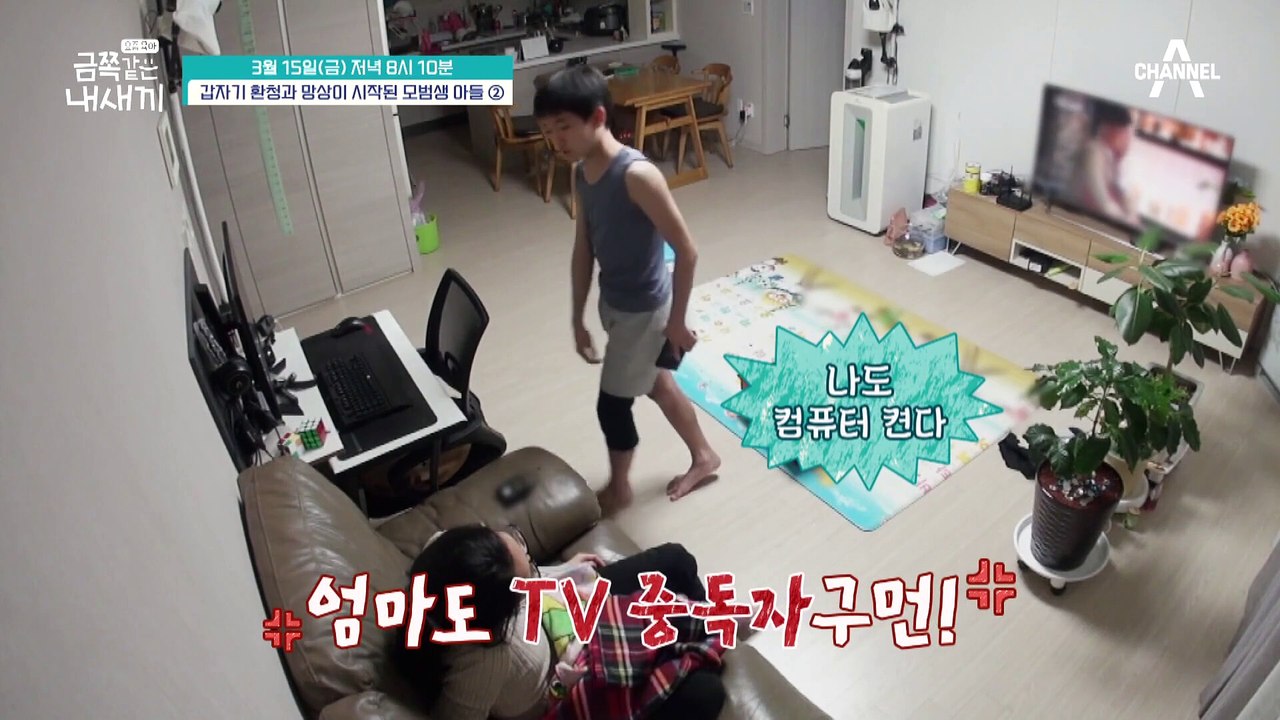 [선공개] 점점 행동이 과격해지는 금쪽이?! 솔루션 이대로 괜찮을까?