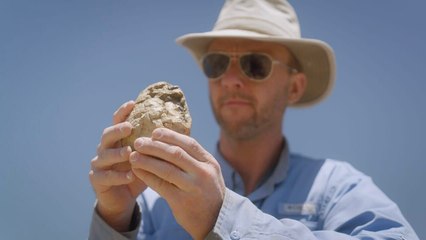 Après la météorite, le monde des survivants vidéo bande annonce