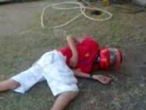 Jackas mexicano-casco