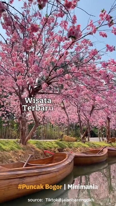 Wisata ini Bisa Membawa kamu ke berbagai wisata...