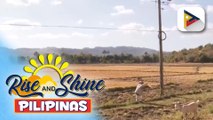 Nasa 1,000 magsasaka sa Oriental Mindoro na apektado ng #ElNiñoPH, makatatanggap ng ayuda ngayong araw