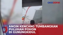 Detik-Detik Angin Kencang Terbangkan Atap dan Tumbangkan Puluhan Pohon di Gunungkidul