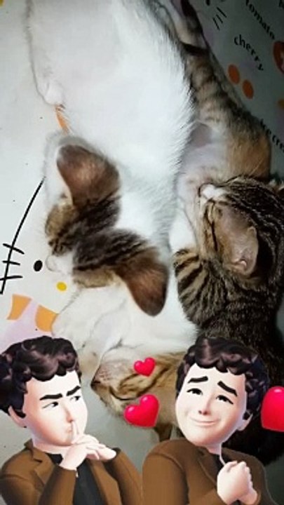 Sleep mode