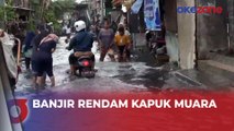 Banjir Rendam Kapuk Muara, Aktivitas Warga Terganggu