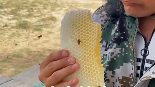 Man Eating Honey In The Forest | Food Lovers | Delicious Food | Sweet Food Lover | Honey Lovers #food #spicy #tasty #asmr #foodlover #foodies #sweets