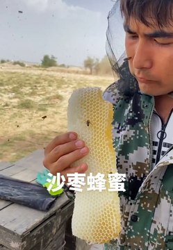 Man Eating Honey In The Forest | Food Lovers | Delicious Food | Sweet Food Lover | Honey Lovers #food #spicy #tasty #asmr #foodlover #foodies #sweets