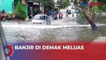 Banjir di Demak Meluas, Rendam 25 Desa di 6 Kecamatan