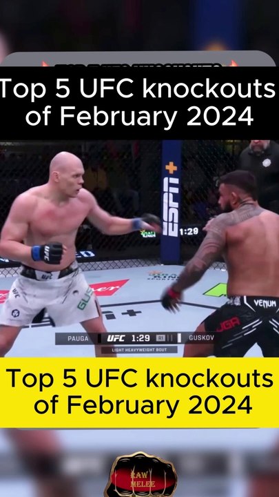Top 5 UFC knockouts of February 2024 #UFC #MMA