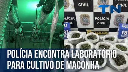 Polícia encontra laboratório para cultivo de maconha na Grande Vitória
