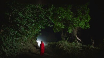 In the Belly of a Tiger | movie | 2024 | Official Teaser