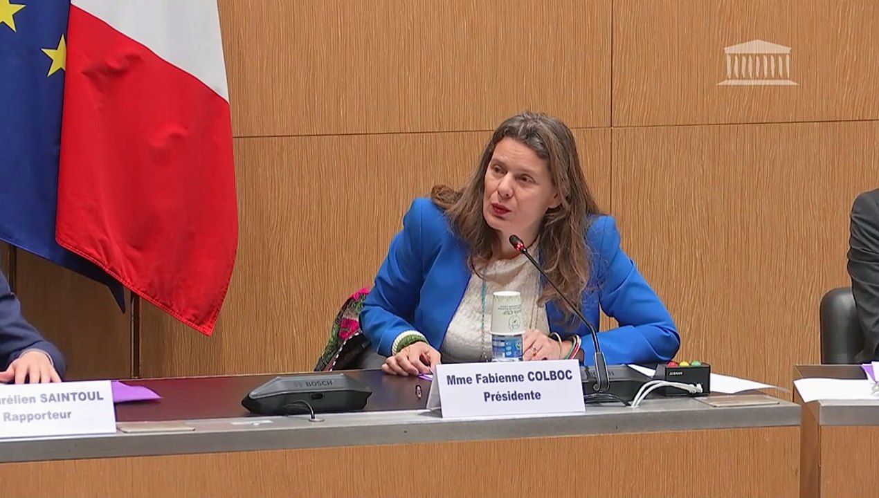 Autorisations de diffusion sur la TNT : Auditions diverses - Jeudi 14 mars 2024