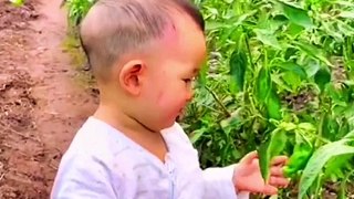 Babies Eating Chillies | Babies Funny Compilation | Babies Funny Moments | Cute Babies | Funny Babies #baby #babies #beautiful #cutebabies #fun #love #cute #funny #babyvideos