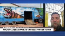 Accusé de maltraitance animale, le directeur du cirque Zavatta, Alexandre Muller, se défend