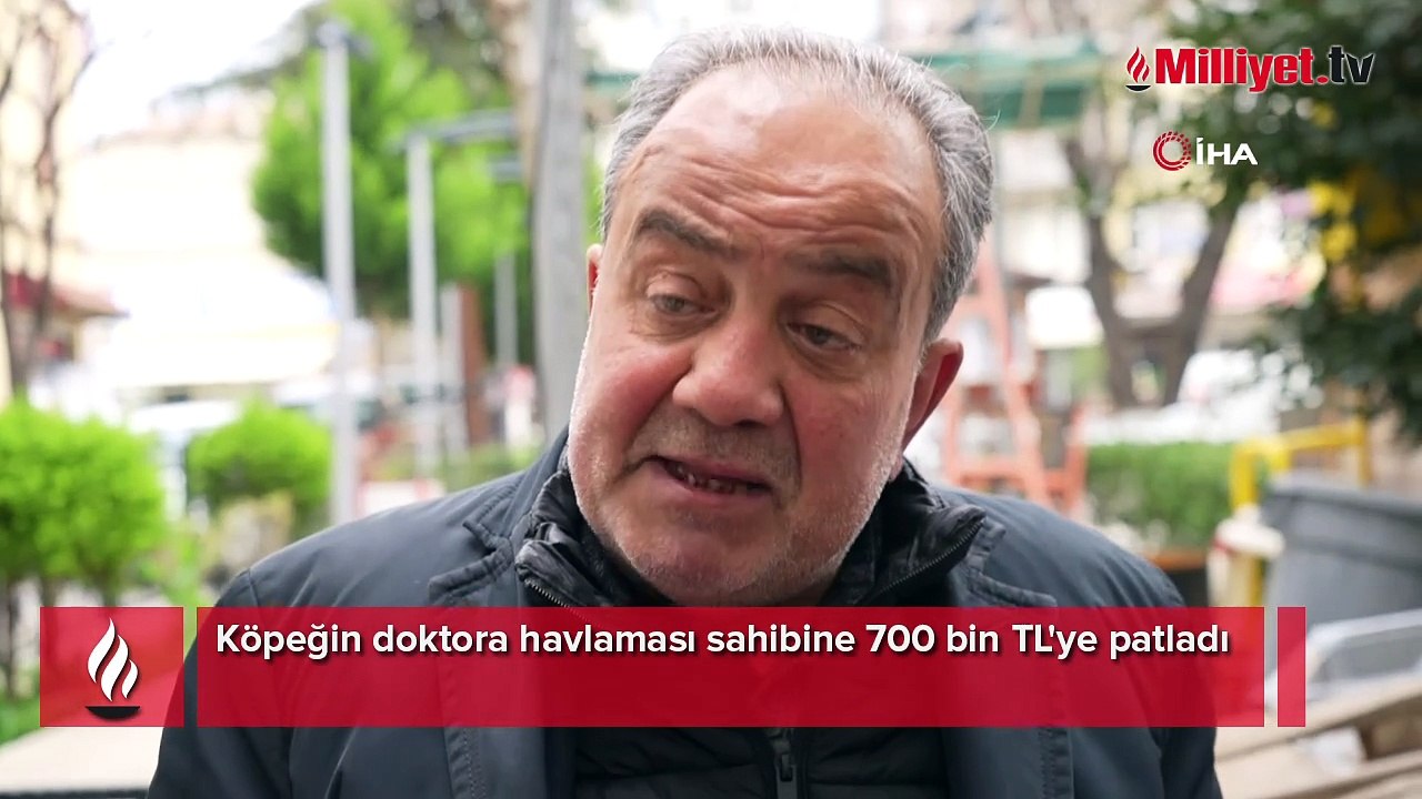 Köpek havladı, 700 bin TL'si gitti: Benimle alakası yok, başıma gelmeyen kalmadı