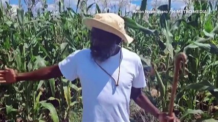 Zimbabwe sect leader held after police rescue 251 children