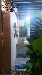 Purico's Cabin Resort at Night