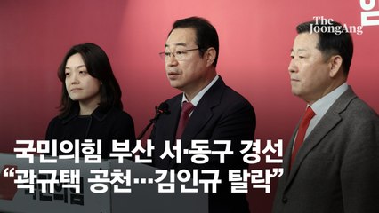 국민의힘, 부산 서·동구 곽규택 공천…YS 손자 김인규 탈락